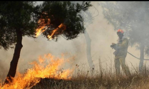 Φωτιά: Μικρές ζημιές στο Κουνουπέλι - Πώς σώθηκε η Στροφυλιά