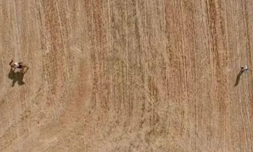 Άγριες Μέλισσες: Ο Μελέτης αποτελείωσε τον Ακύλα