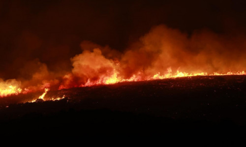 Φωτιά τώρα στα Μεσοχώρια Ευβοίας – Ήχησε το «112», καίει μία ανάσα μακριά από σπίτια