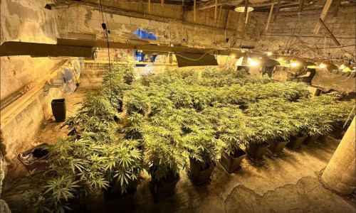 Μέγαρα: Εξαρθρώθηκαν δύο συμμορίες που διακινούσαν κοκαΐνη και κάνναβη