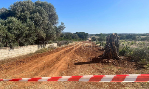Αρτέμιδα: Νεκρός Αλβανός από πυροβολισμό στο πρόσωπο – Αποκάλυψε τον δολοφόνο στη γυναίκα του