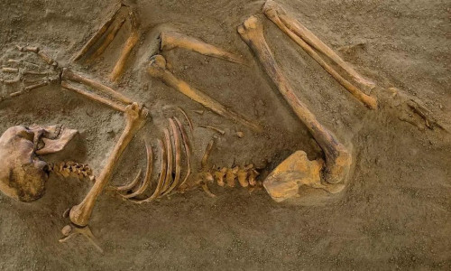 DNA 9.000 ετών μπορεί να ανατρέψει την ανθρώπινη ιστορία