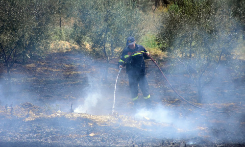 Πυροσβεστική: 36 φωτιές το τελευταίο 24ωρο στη χώρα