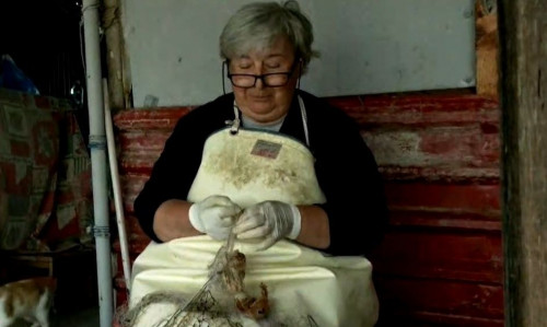 Νέο κεφάλαιο στη ζωή της «Κυράς του Δέλτα» Έβρου: Ηλεκτροδοτήθηκε η καλύβα που ζει επί 45 χρόνια