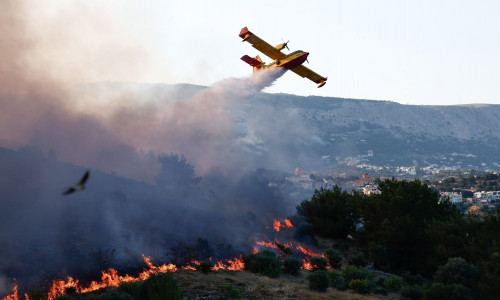 Φωτιά τώρα σε δασική έκταση στη Ροδόπη - Επιχειρούν εναέρια μέσα - Μήνυμα του 112