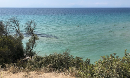 Χαλκιδική: 7χρονη χάθηκε ενώ κολυμπούσε και βρέθηκε σε απόσταση 5 χιλιομέτρων