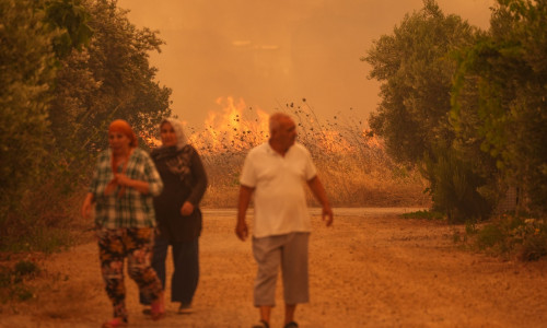 «Λιώνει» η Ευρώπη από τον καύσωνα και τις πυρκαγιές - «Η ακραία ζέστη είναι η νέα κανονικότητα»