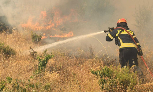 Φωτιά στην Εύβοια: Συναγερμός στην Πυροσβεστική - Καίγεται ο κάμπος στο Αλιβέρι, ήχησε το 112