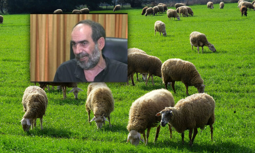 ΟΠΕΚΕΠΕ: Καταγγελία 29 σελίδων για τον «Φραπέ» – «Επιδοτήσεις άνω των 2,5 εκατ. ευρώ με ψεύτικα ζώα»