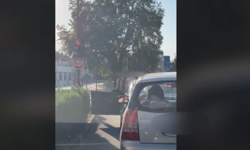 Τρίκαλα: Άγριος καβγάς και ξύλο σε φανάρι κεντρικού δρόμου - Βίντεο