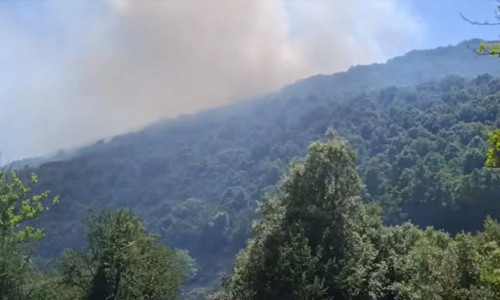 Φωτιά στον Ταξιάρχη Θέρμου στην Αιτωλοακαρνανία - Επιχειρούν εναέρια μέσα