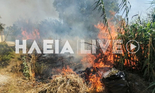 Φωτιά σε ακαθάριστο οικόπεδο στην Ηλεία - Οι φλόγες έφτασαν σε απόσταση αναπνοής από σπίτια