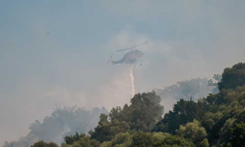 Μεσολόγγι: Υπό μερικό έλεγχο η φωτιά στην περιοχή Οινιάδες
