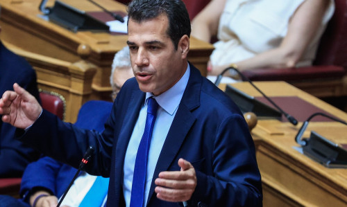 Πλεύρης για μεταναστευτικό: «Ή συνεργάζεσαι να φύγεις ή πας φυλακή για 5 χρόνια χωρίς αναστολή»