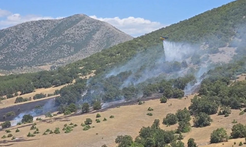 Κοζάνη: Σε εξέλιξη η φωτιά στο Δρέπανο - Μια σύλληψη από την Πυροσβεστική