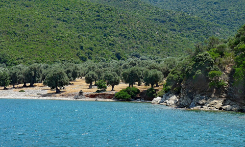 Τραγωδία στο Πήλιο: 32χρονος τουρίστας πνίγηκε ενώ κολυμπούσε