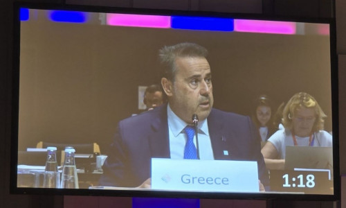 Παπασταύρου: «Υπέρ των ευρωπαϊκών στόχων κατά της κλιματικής κρίσης, αλλά με όρους ρεαλισμού»