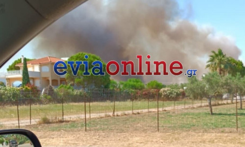 Φωτιά στην Εύβοια: Παίρνει διαστάσεις το πύρινο μέτωπο - Νέο μήνυμα από το 112 για εκκένωση