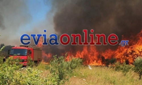 Φωτιά Εύβοια: Συνελήφθη άνδρας για τη μεγάλη φωτιά στο Αλιβέρι