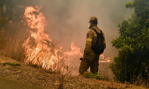 Πολύ υψηλός κίνδυνος πυρκαγιάς αύριο (14/7) - Οι περιοχές που απειλούνται