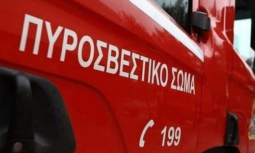 Πυρκαγιά στη Χωριστή Δράμας: Υπό μερικό έλεγχο η φωτιά που ξέσπασε σε αγροτοδασική έκταση