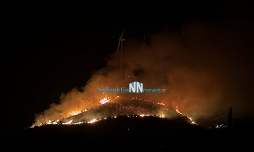 Φωτιά στη Μακύνεια: Συναγερμός στην Πυροσβεστική και μήνυμα 112 στους κατοίκους