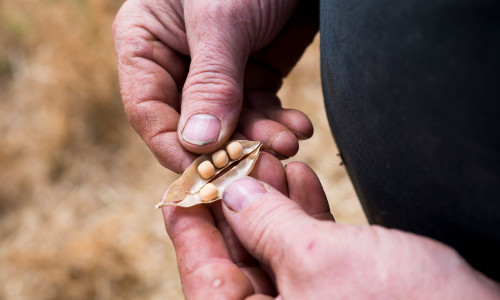 Κλιματική κρίση και ακρίβεια τροφίμων: Οι φτωχότεροι σε μεγαλύτερο κίνδυνο