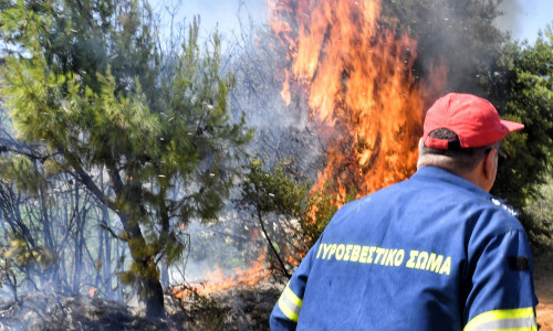 Φωτιά τώρα στη Δομνίστα Ευρυτανίας