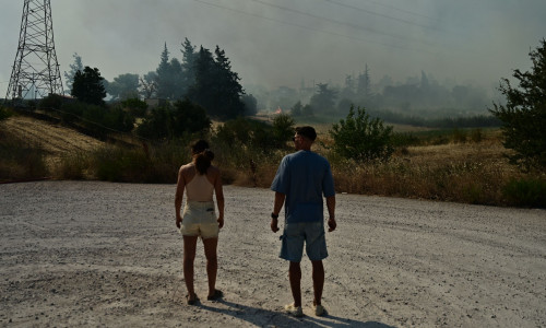 Μεγάλη φωτιά στις Αφίδνες - Ήχησε το 112 για Κρυονέρι και Δροσοπηγή, «κινηθείτε προς Εθνική Οδό»