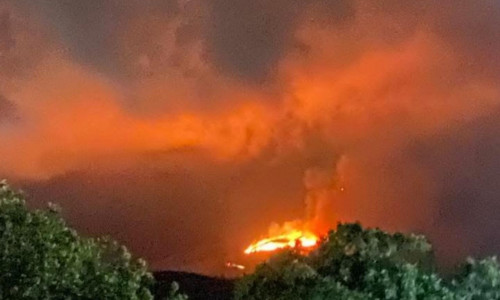 Φωτιά τώρα στη Μεσσηνία στην περιοχή Μεταμόρφωση