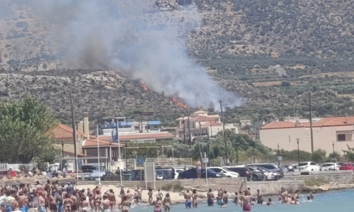 Φωτιά τώρα στην Πλύτρα Λακωνίας