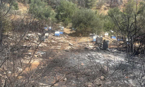 Φωτιά στην Πολυτεχνειούπολη: Πρόστιμο στον Πρύτανη - Από πού ξεκίνησε - Υπήρχε ολόκληρη χωματερή
