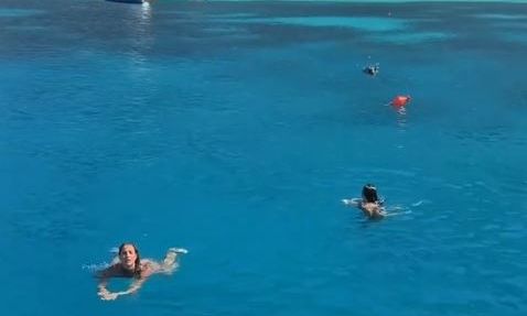 Ιθάκη: Περιπέτεια για δύο τουρίστριες - Αγριογούρουνο τις κυνήγησε μέσα στη θάλασσα - Βίντεο