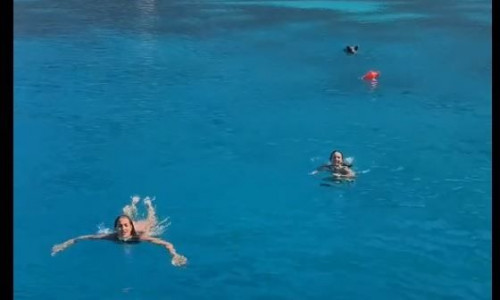 Ιθάκη: Γουρούνια κυνηγούν τουρίστριες μέσα στη θάλασσα