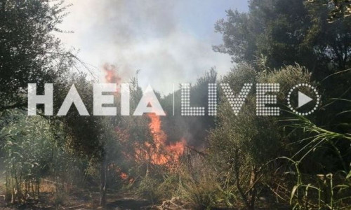 Μεγάλη φωτιά στην Μέλισσα Λεχαινών Ηλείας - Ήχησε το 112