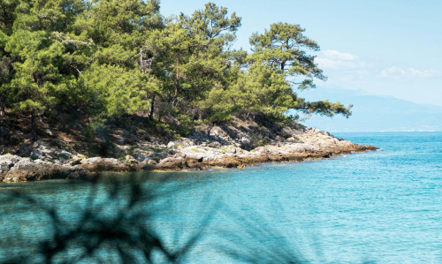 Θάσος: Το νησί θησαυρός στην άκρη του Αιγαίου