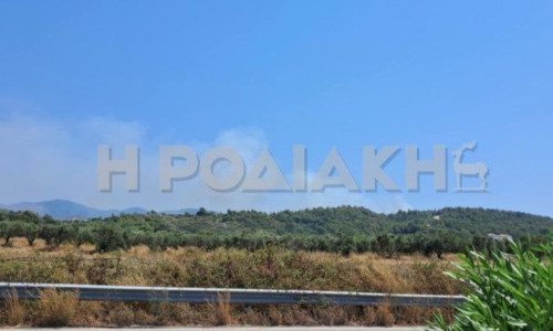 Φωτιά τώρα στη Ρόδο: Καίει ανάμεσα σε Θολό και Σορωνή