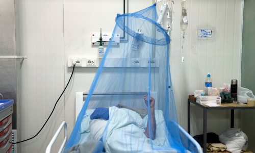 Κίνα: Νέος συναγερμός για τον ιό chikungunya - Αυξάνεται η επιδημία που μεταδίδεται από τα κουνούπια