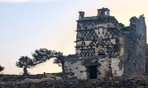 Κοινωνώ - The Tinos Gathering: Στο επίκεντρο οι εμβληματικοί περιστεριώνες της Τήνου