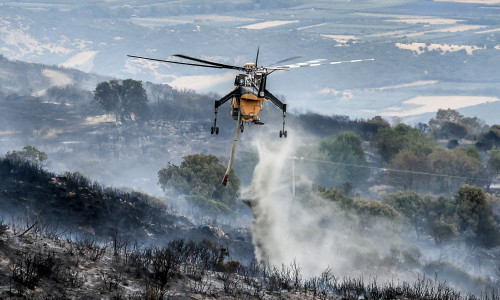 Πυροσβεστική: 63 πυρκαγιές σημειώθηκαν το τελευταίο 24ωρο σε όλη τη χώρα