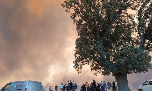 Τουρκία: Μεγάλη δασική φωτιά στο Τσανάκαλε - Έκλεισε ο Βόσπορος και αεροδρόμιο, κάηκε πυροσβεστικό