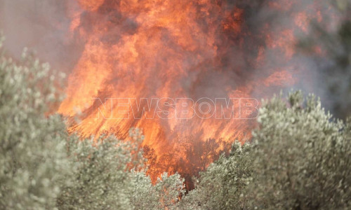 Καιρός: Επικίνδυνες πυρομετεωρολογικές συνθήκες σήμερα - Ακραίος κίνδυνος πυρκαγιάς σε 4 περιοχές Καιρός: Στο «κόκκινο» οι πυρομετεωρολογικές συνθήκες - «Ασταμάτητες» οι φωτιές αν ξεσπάσουν