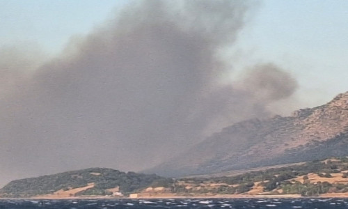 Φωτιά τώρα σε δασική έκταση στη Σαμοθράκη: Πνέουν ισχυροί άνεμοι - Επιχειρούν εναέρια μέσα