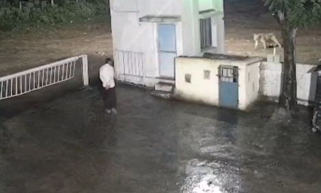 Ινδία: Viral το βίντεο της συνάντησης ανθρώπου με λιοντάρι
