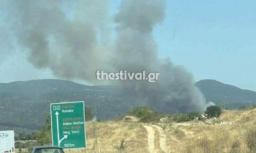 Θεσσαλονίκη: Φωτιά σε αγροτοδασική έκταση κοντά στη Βόλβη – Επί ποδός η Πυροσβεστική