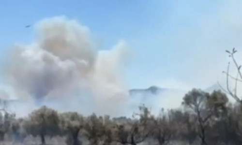 Φωτιές τώρα σε Γαλατά και Βόνιτσα Αιτωλοακαρνανίας – Ήχησε το «112»