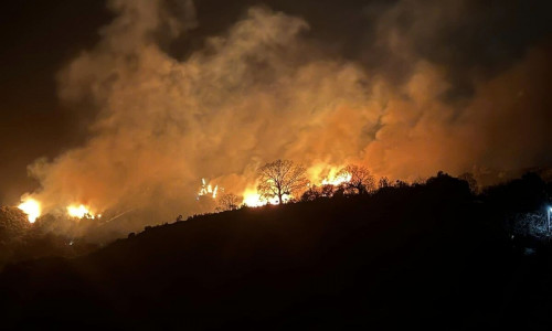Φωτιά στην Οινόη – Στην περιοχή Άγιος Δημήτριος το μέτωπο – Ήχησε το 112