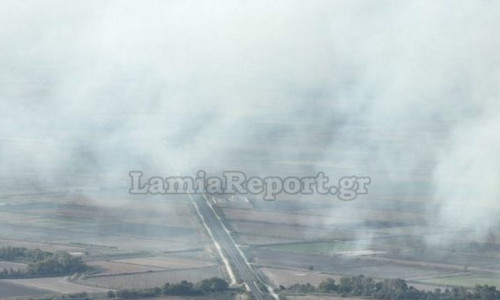 Φθιώτιδα και Εύβοια «πνίγηκαν» από τους καπνούς των πυρκαγιών στην Τουρκία