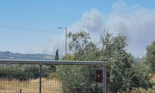 Φωτιά τώρα στα Φλογεραίικα Αχαΐας - Επιχειρεί εναέριο
