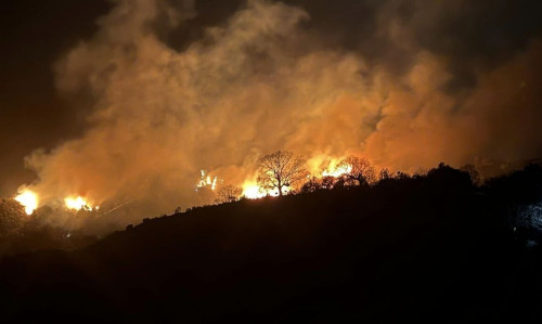 Φωτιά στην Αττική: Στις φλόγες δασική έκταση στον Άγιο Κωνσταντίνο Μεγάρων – Ήχησε το 112